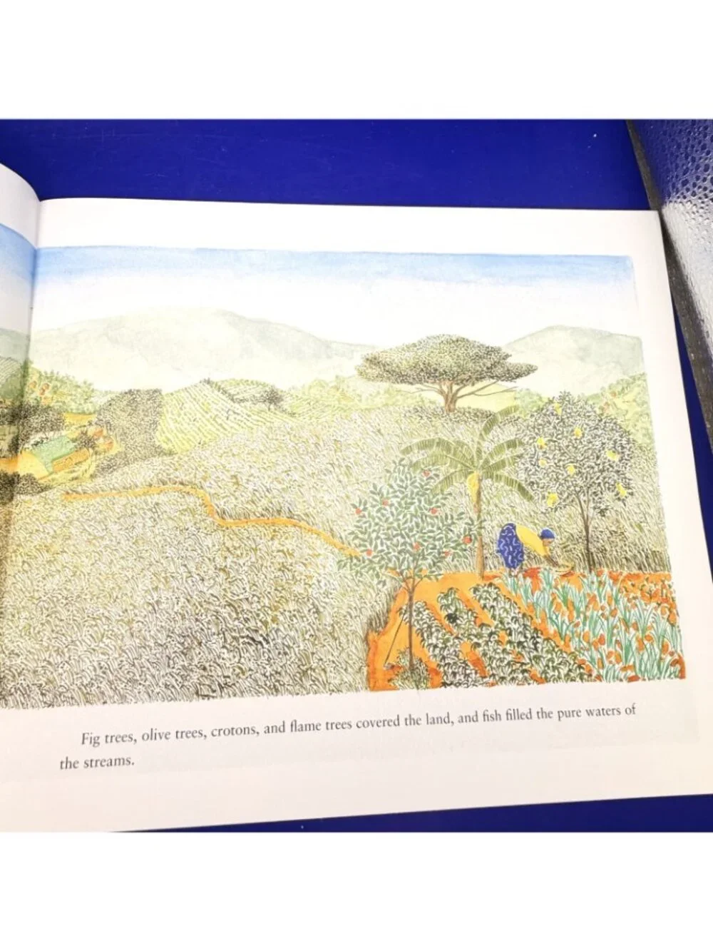 Planting Trees Of Kenya Wangari Maathai PB Scholastic Biography Multicultural